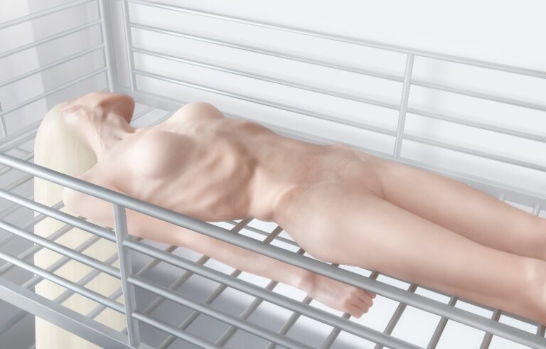 The Untitled Space Showcases Joanna Grochowska’s TRANSHUMANISM