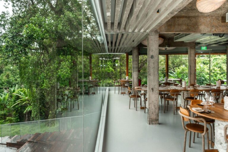 Singapore’s Pet-Friendly Scene is Thriving Here Are 10 Cafes and Restaurants That Prove It