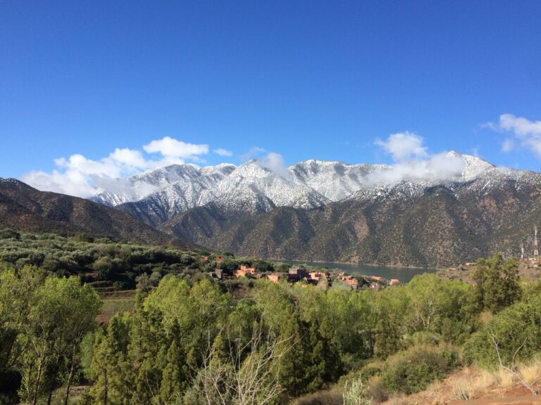 Domaine De La Roseraie: When the Atlas Mountains Serve You Serenity and Mint Tea