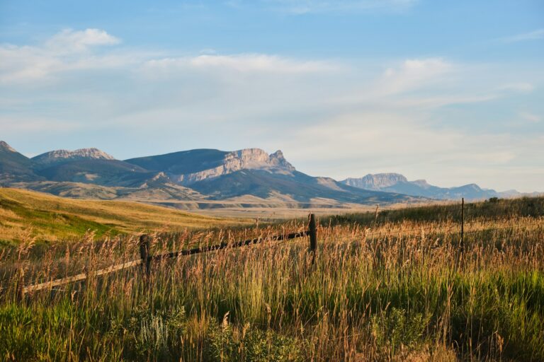 Your Guide to a Luxury Ranch Retreat in Montana