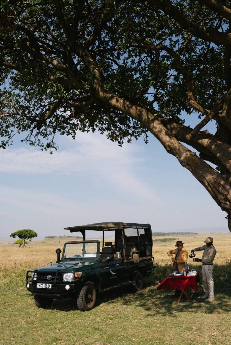 Travel in 2026: Key Trends and Six Destinations That Reflect the Shift